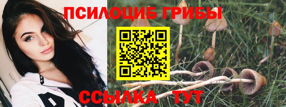 Псилоцибиновые грибы прущие грибы Соль-Илецк