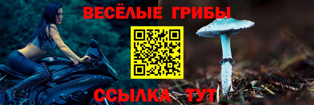 Галлюциногенные грибы Psilocybe  Вход с VPN  Соль-Илецк  Галлюциногенные грибы Psilocybe 